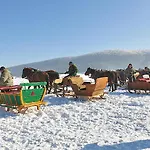 Jasmin Regetow Nizny