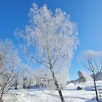 Jasmin