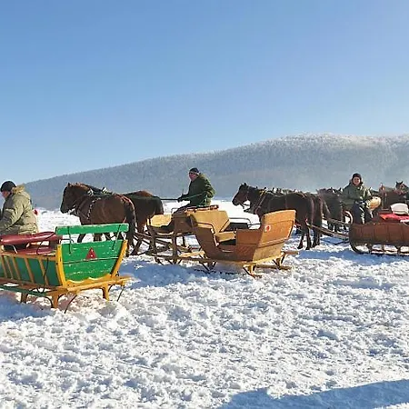 Jasmin Regetow Nizny