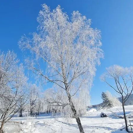 Jasmin